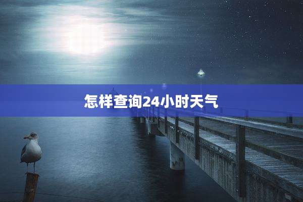怎样查询24小时天气