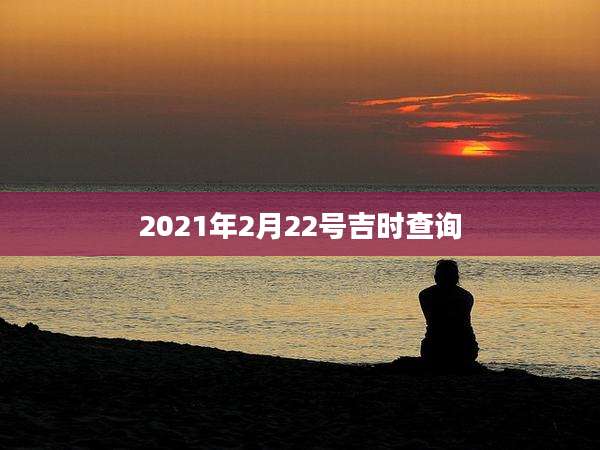 2021年2月22号吉时查询