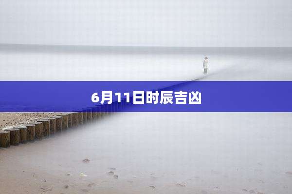 6月11日时辰吉凶