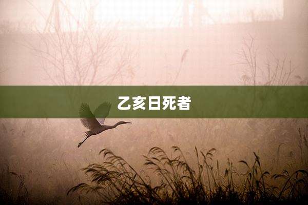 乙亥日死者