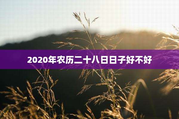 2020年农历二十八日日子好不好