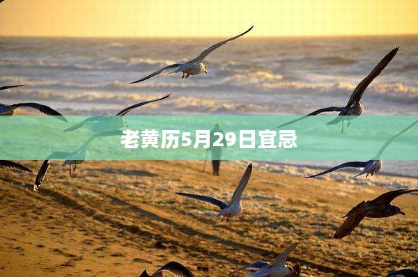老黄历5月29日宜忌