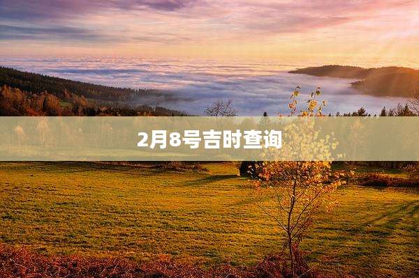 2月8号吉时查询