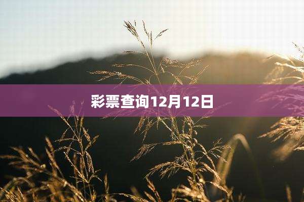 彩票查询12月12日
