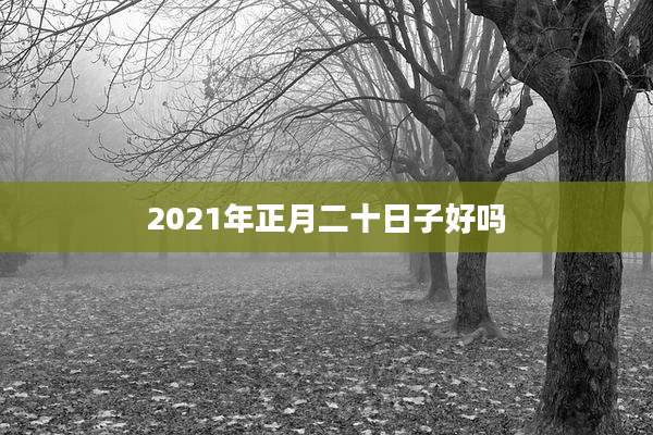 2021年正月二十日子好吗