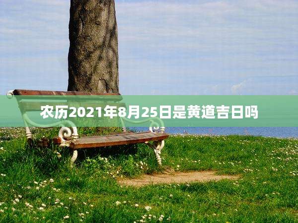 农历2021年8月25日是黄道吉日吗