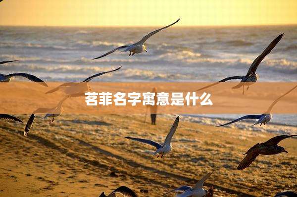 茗菲名字寓意是什么