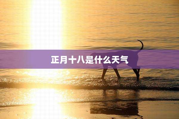 正月十八是什么天气