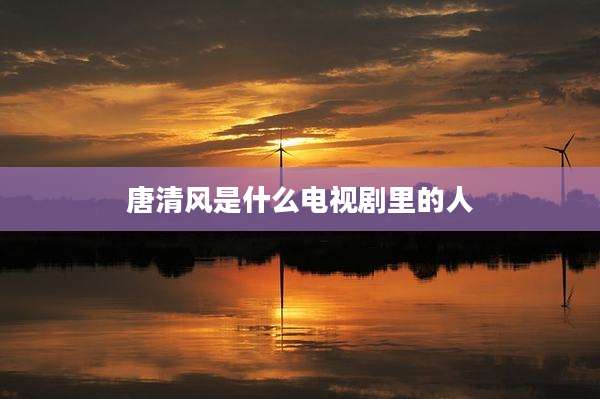 唐清风是什么电视剧里的人