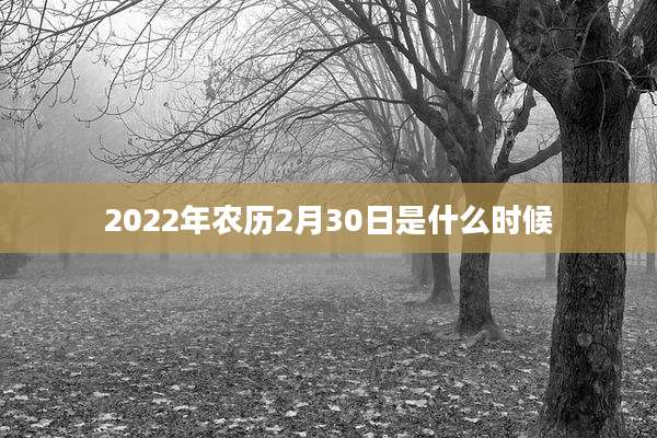 2022年农历2月30日是什么时候