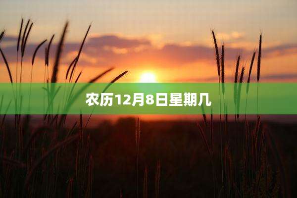 农历12月8日星期几