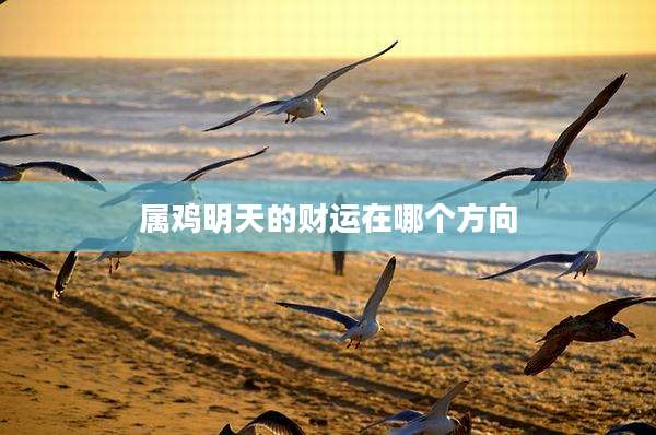属鸡明天的财运在哪个方向