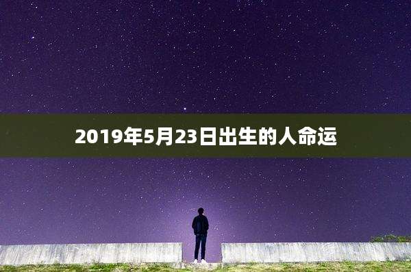 2019年5月23日出生的人命运