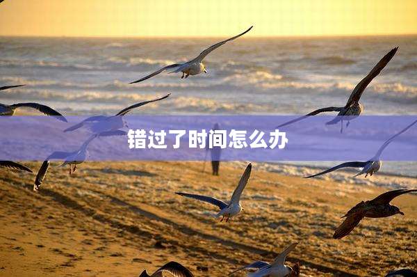 错过了时间怎么办