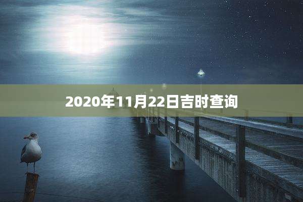 2020年11月22日吉时查询