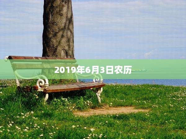 2019年6月3日农历