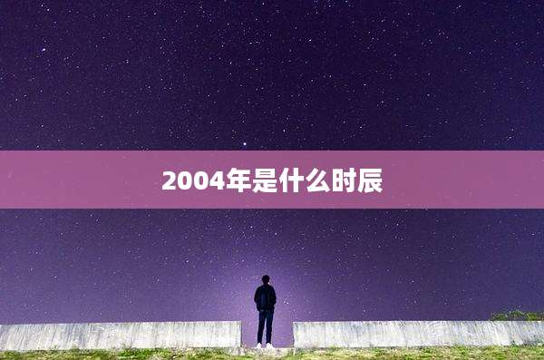 2004年是什么时辰