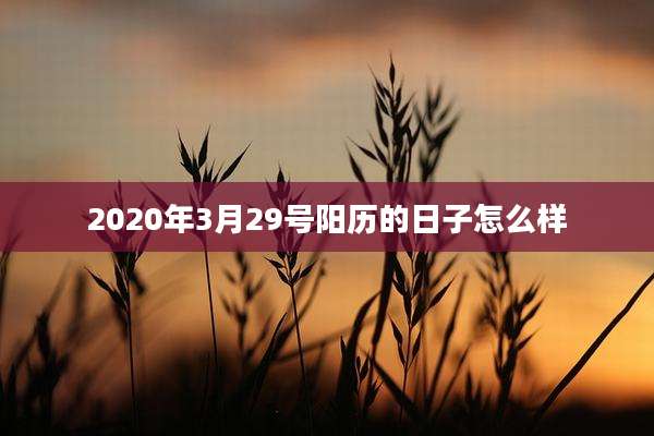 2020年3月29号阳历的日子怎么样