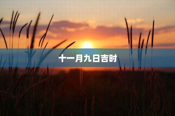 十一月九日吉时