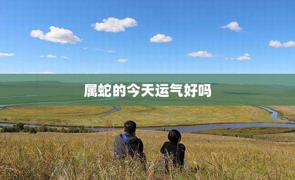 属蛇的今天运气好吗