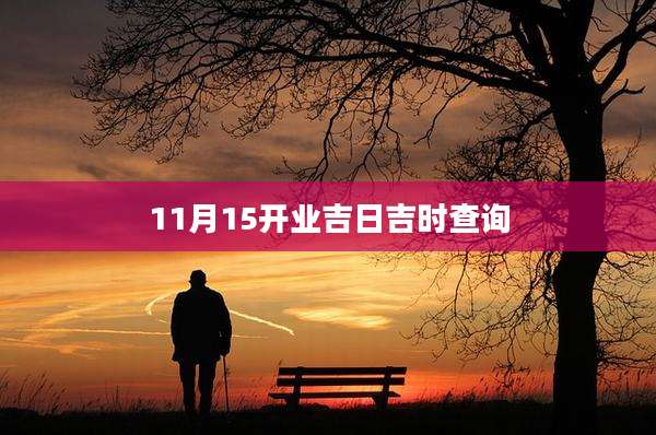 11月15开业吉日吉时查询