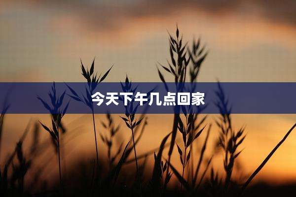 今天下午几点回家