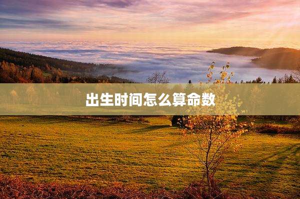 出生时间怎么算命数