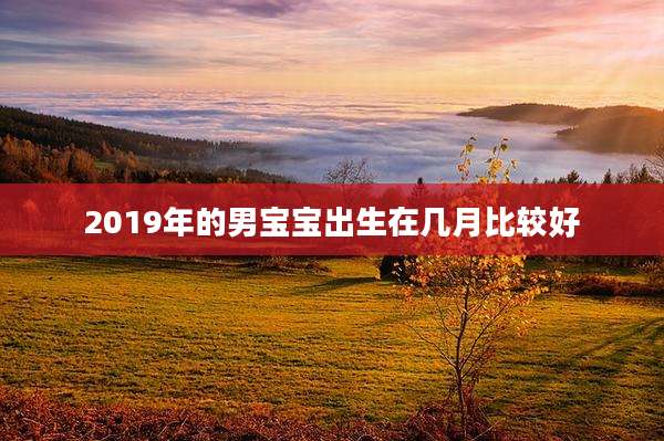 2019年的男宝宝出生在几月比较好