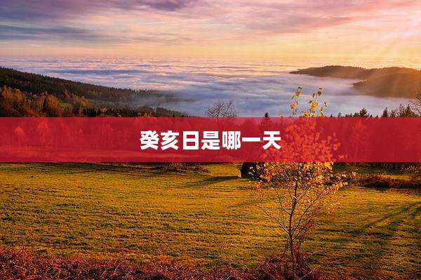 癸亥日是哪一天