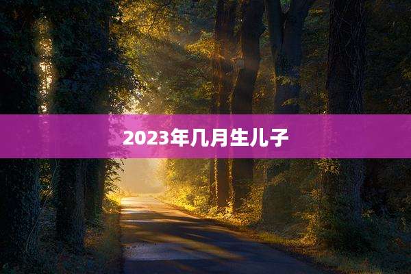 2023年几月生儿子