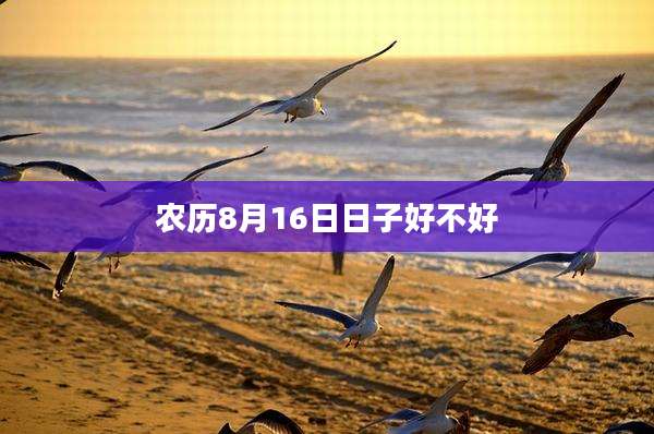农历8月16日日子好不好
