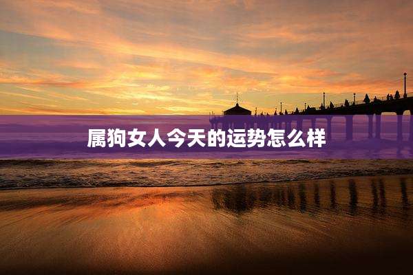 属狗女人今天的运势怎么样