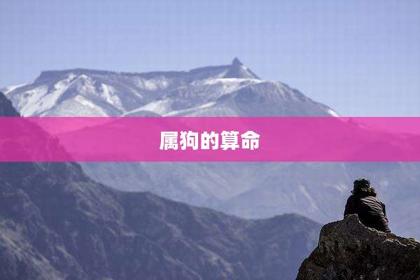 属狗的算命