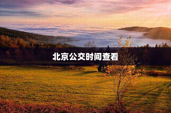 北京公交时间查看