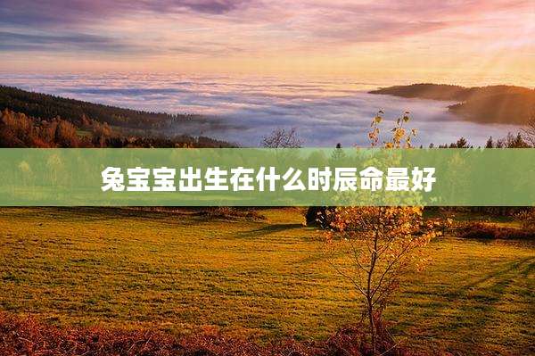 兔宝宝出生在什么时辰命最好