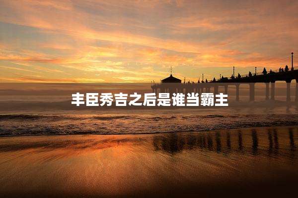 丰臣秀吉之后是谁当霸主