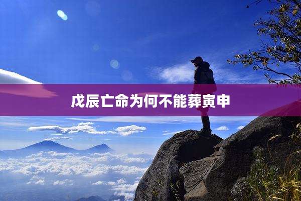 戊辰亡命为何不能葬寅申