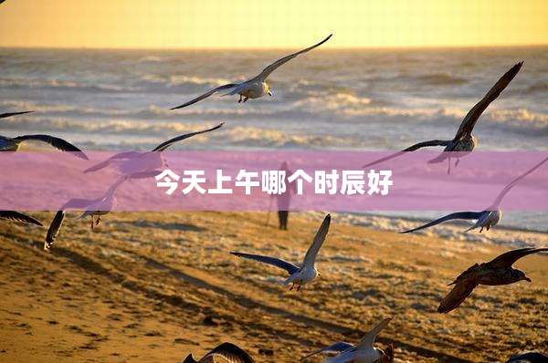 今天上午哪个时辰好