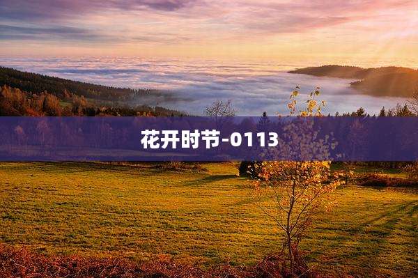 花开时节-0113