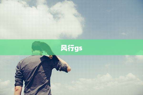 风行gs