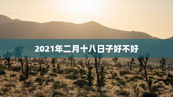 2021年二月十八日子好不好