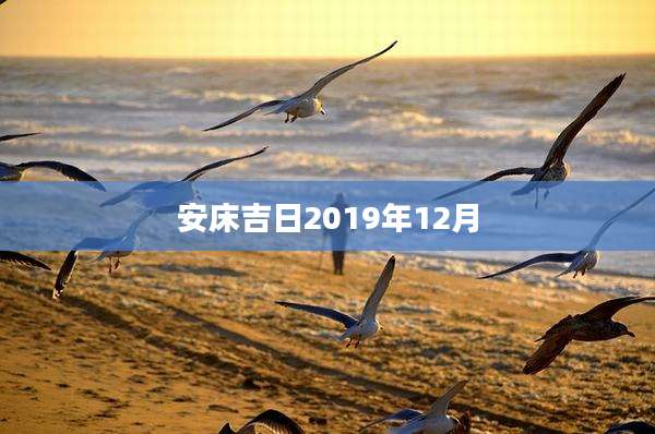 安床吉日2019年12月