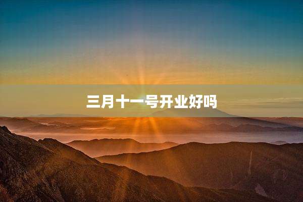 三月十一号开业好吗