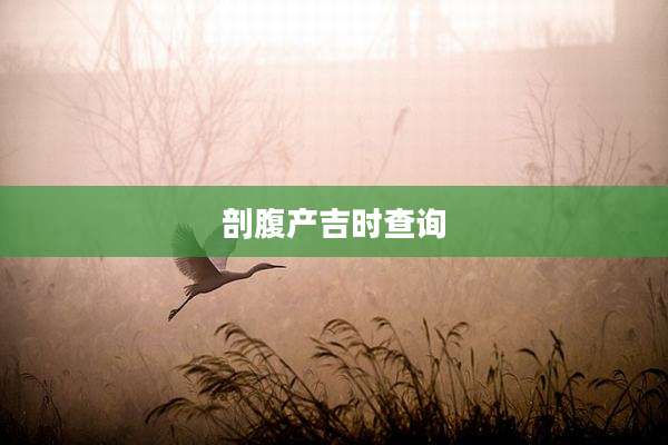 剖腹产吉时查询