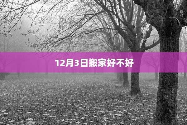 12月3日搬家好不好