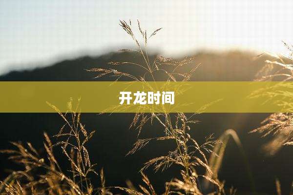 开龙时间