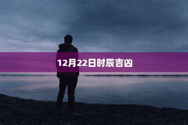12月22日时辰吉凶