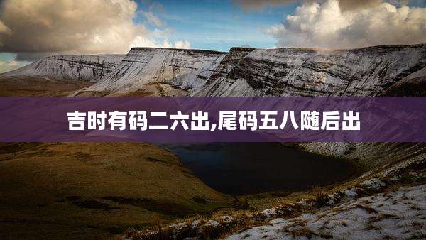 吉时有码二六出,尾码五八随后出