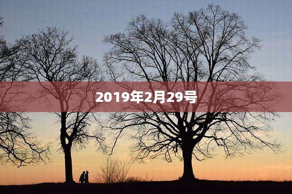 2019年2月29号