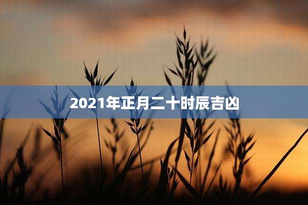 2021年正月二十时辰吉凶
